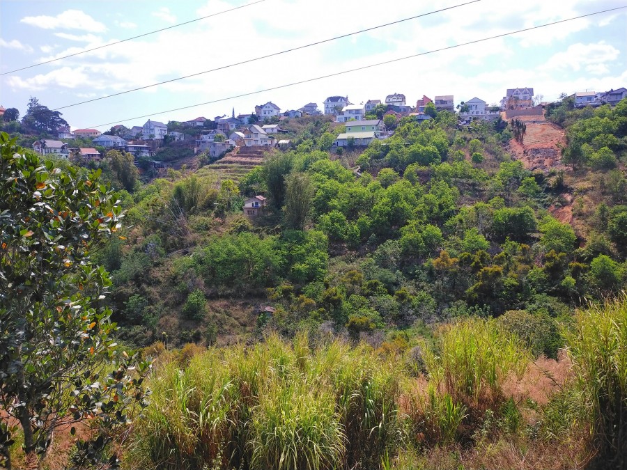 BÁN ĐẤT TẶNG NHÀ HOÀNG HOA THÁM VIEW ĐẸP TRƯỚC SAU, PHƯỜNG 10 TP ĐÀ LẠT GIÁ BÁN: 3TỶ 900 TRIỆU THƯƠNG LƯỢNG
