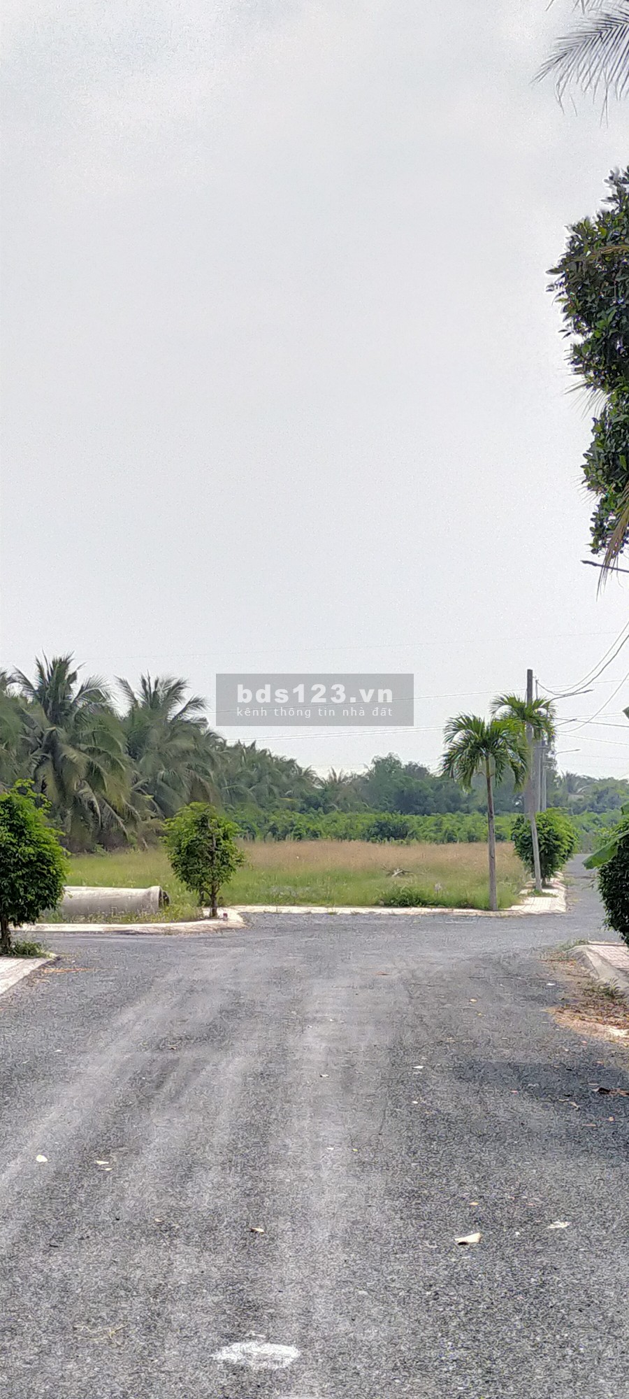 Khu dân cư Tân Hương ( GreenHome)