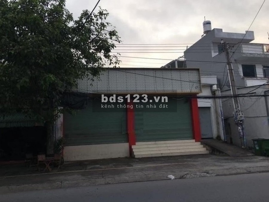 Trịnh Đình Trọng 8 x 20 trống suốt KD