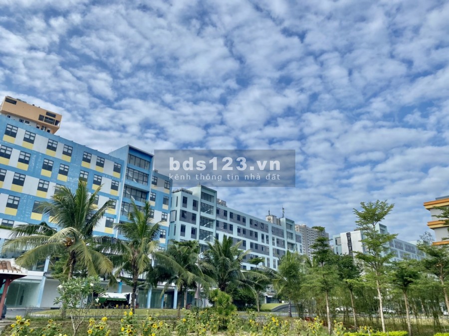 Cơn sốt đất toàn diện khắp cả nước thì nên đầu tư vào đâu cho khả năng sinh lời lớn?