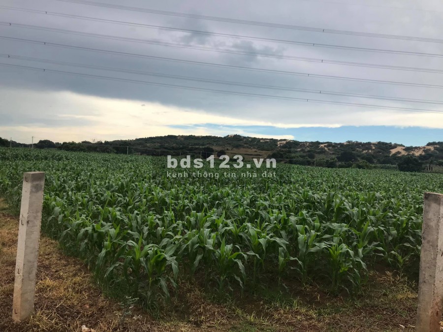 Bán đất nông nghiệp thị trấn lương sơn 824tr kdc đông đúc, cách QL 1.2km Lh 0938677909 Hiền xem sổ