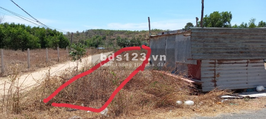 Cần bán lô đất Gò Cát, 1.25 tỷ/273m2, SHR, lô góc 2MT, khu dân cư đông đúc