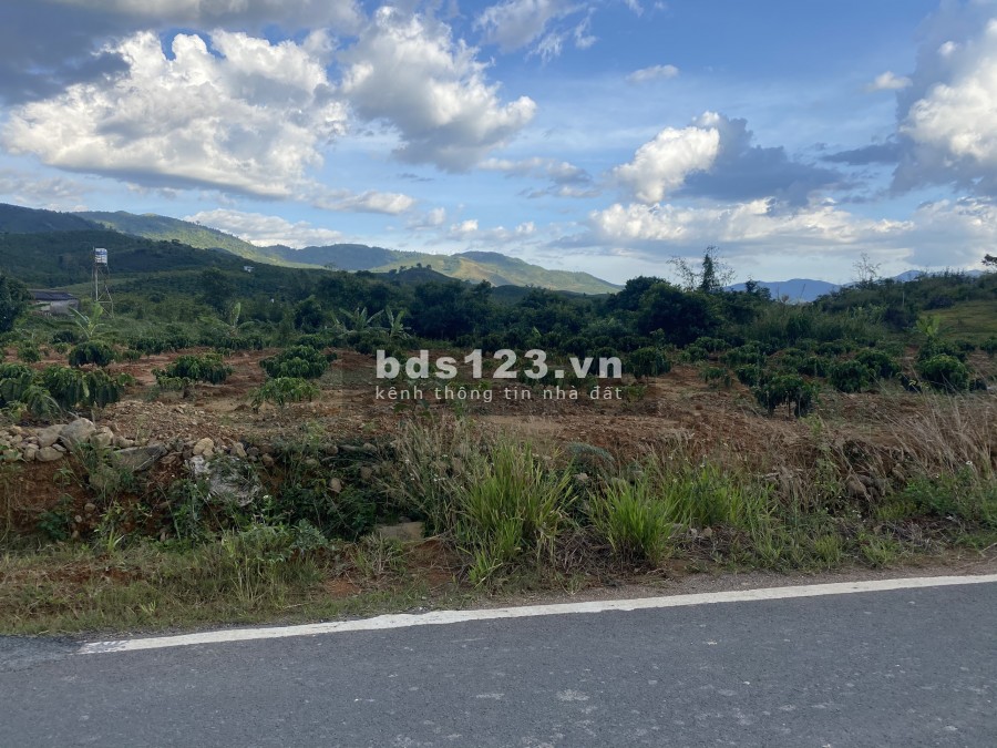 Cần bán lô đất 10000m2 xã Lộc Châu