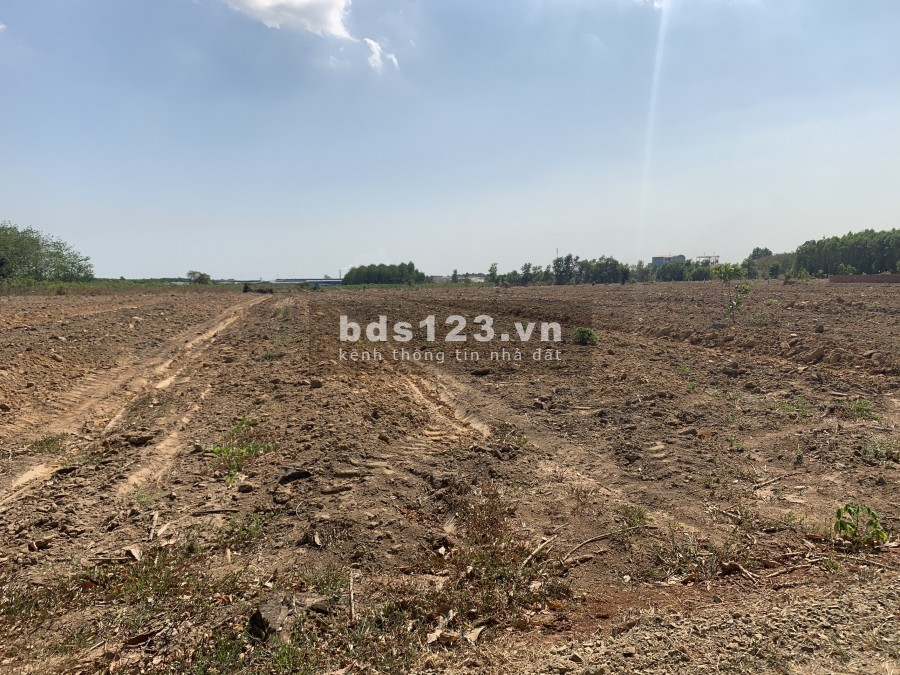 HOT HOT đất rẻ như cho địa thế ngay sân bay Long Thành 1683m2, Giá 1.2tr/m2.