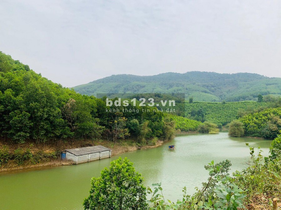 BÁN ĐẤT BÁM SÔNG BÔI - 2,3 HA (1.270M ĐẤT Ở) TẠI KIM BÔI HÒA BÌNH