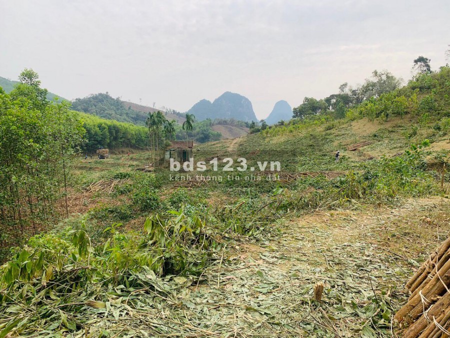 BÁN ĐẤT BÁM SÔNG BÔI - 2,3 HA (1.270M ĐẤT Ở) TẠI KIM BÔI HÒA BÌNH