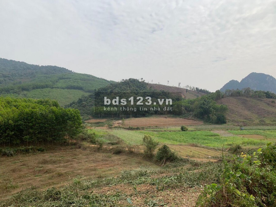 BÁN ĐẤT BÁM SÔNG BÔI - 2,3 HA (1.270M ĐẤT Ở) TẠI KIM BÔI HÒA BÌNH