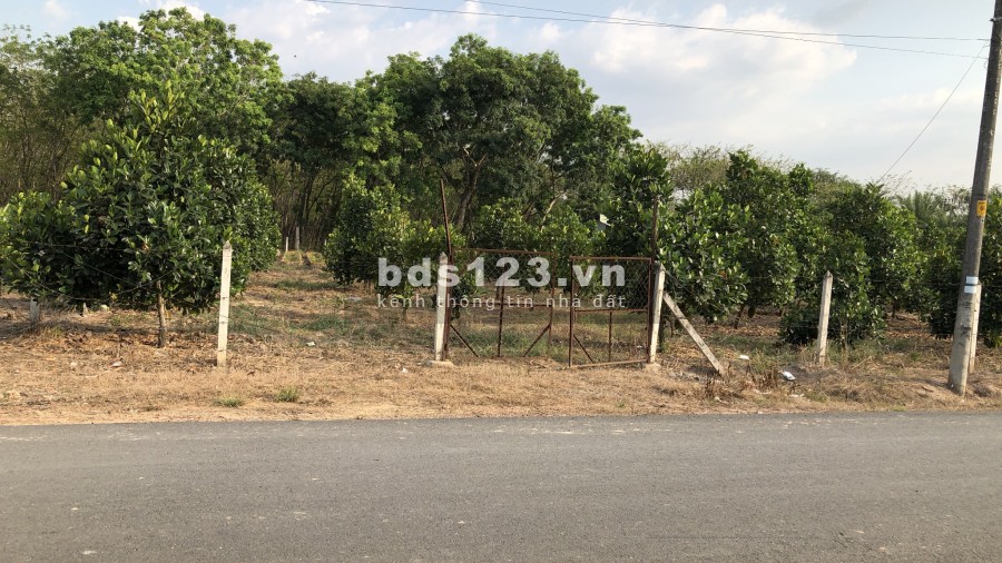 KẸT TIỀN NÊN TÔI CẦN BÁN GẤP LÔ ĐẤT 6.000M KẾ BÊN UỶ BAN XÃ, ĐƯỜNG NHỰA 12M, DÂN CƯ ĐÔNG