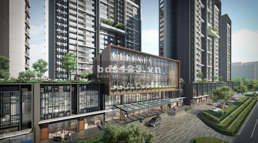 Rổ hàng trực tiếp từ chủ đầu tư dự án Celesta Rise, vị trí vàng khu Nam Sài Gòn. LH 0932 151 002 tư vấn trực tiếp