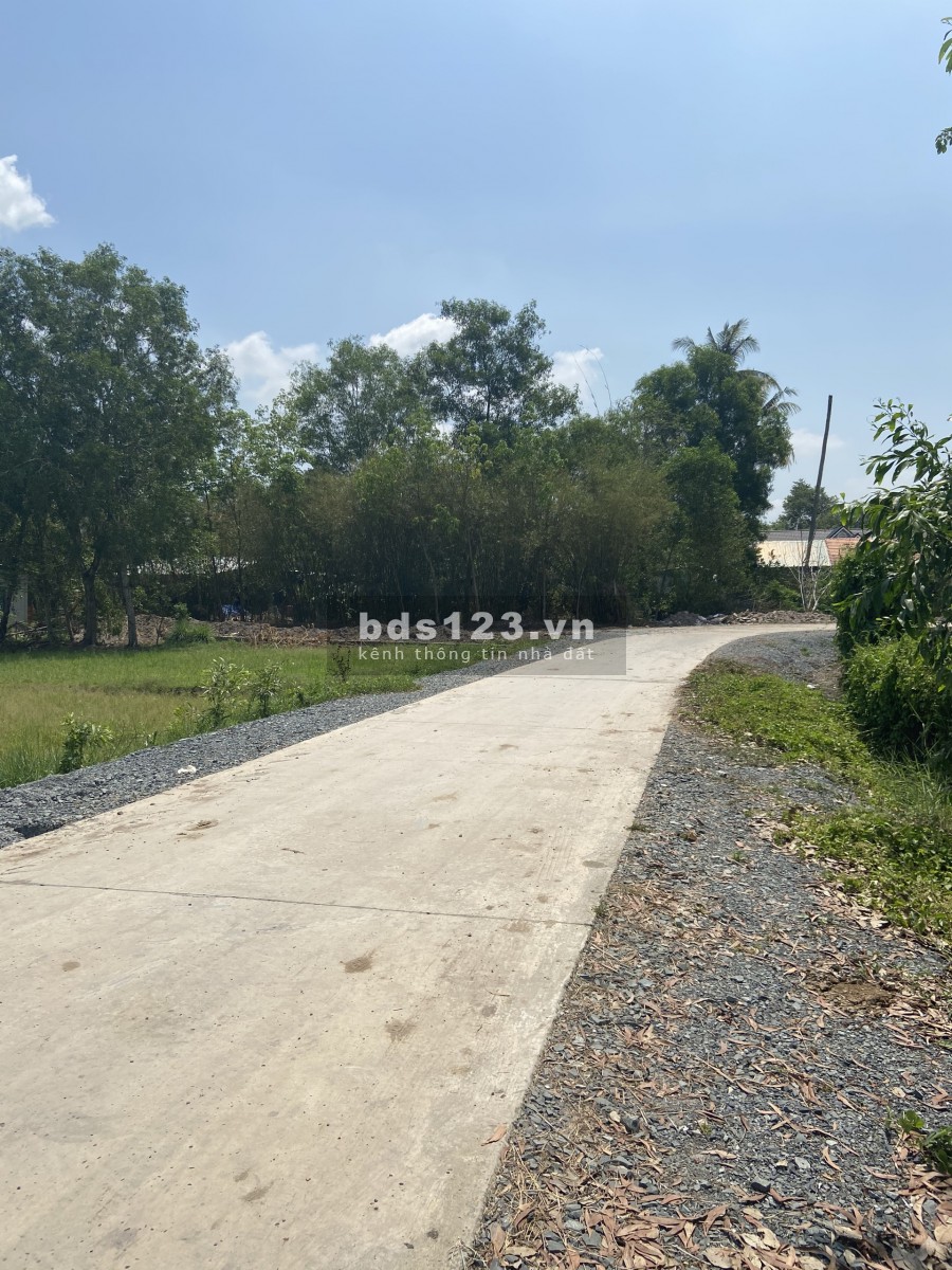 Đất vườn Củ Chi Tỉnh Lộ 2 giá rẻ 735,5m2 giá 1ty290 SHR sang tên công chứng ngay