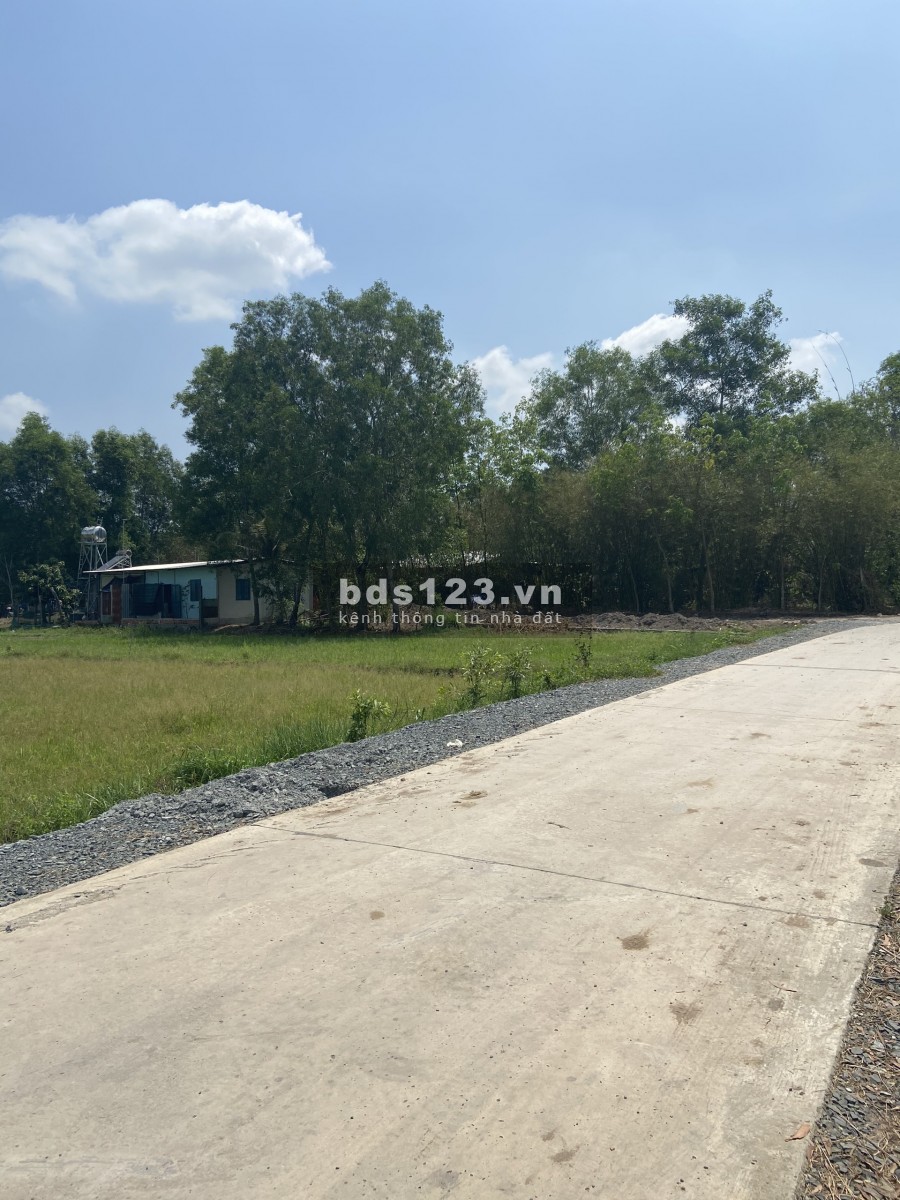 Đất vườn Củ Chi Tỉnh Lộ 2 giá rẻ 735,5m2 giá 1ty290 SHR sang tên công chứng ngay