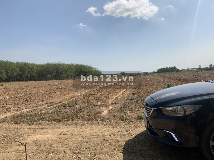 HOT HOT đất rẻ như cho địa thế ngay sân bay Long Thành 1683m2, Giá 1.2tr/m2.