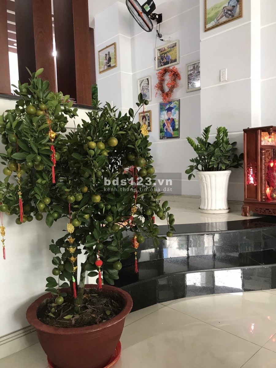 Bán nhà hẻm xe hơi tại Đường số 51 Phường 14 Gò Vấp, diện tích 50m2