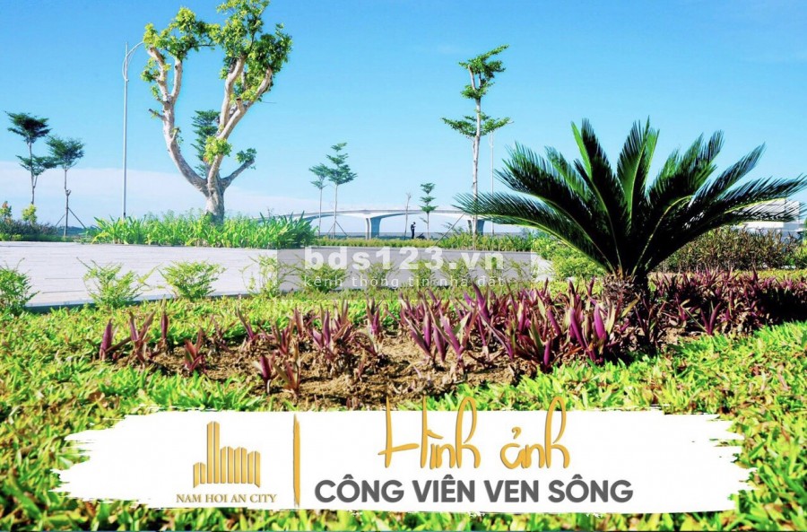 Cơ hội đầu tư Homestay tại hội an, giá chỉ từ 3,3 tỷ