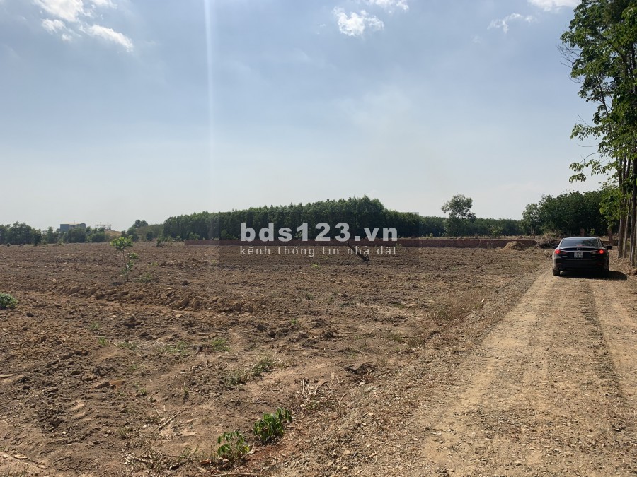 HOT HOT đất rẻ như cho địa thế ngay sân bay Long Thành 1683m2, Giá 1.2tr/m2.