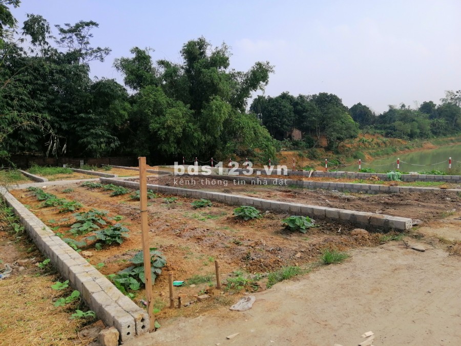BÁN GẤP GIÁ SIÊU RẺ, CÁCH NHÀ MÁY VINROUP MẤY TRĂM BƯỚC CHÂN, DIỆN TÍCH 77m2 full thổ cư, 2 mặt tiền, sẵn sổ đỏ, sang tên trong nốt nhạc LH: 086813196