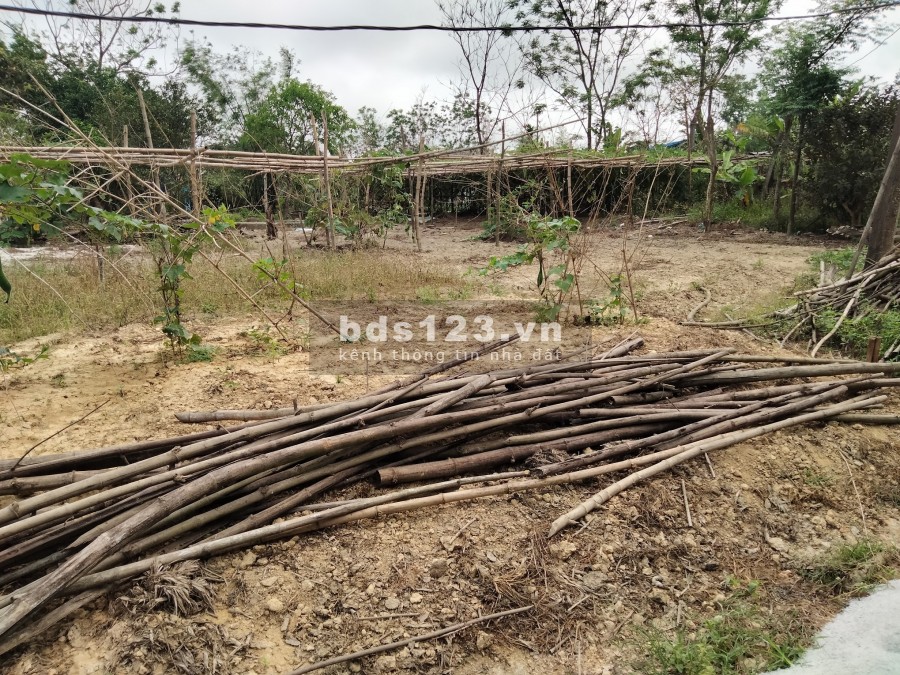 Bán đất tại Trung tâm thị trấn Sịa, huyện Quảng Điền, Huế.