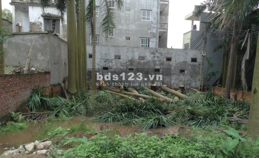 BÁN RẺ! Đất Phố Trạm, Long Biên 60m2xMT4.7m ngõ rộng, chỉ 2.8 tỷ. LH: O977.611.089