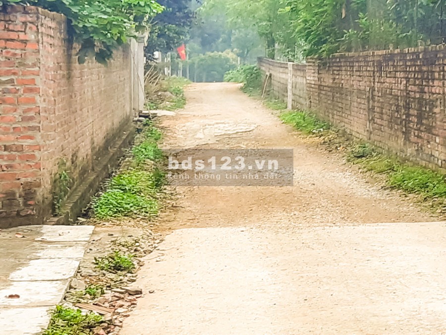 Bán Gấp Đất Tiến Xuân Sẵn Nhà Cực Đẹp – Đất Hòa Lạc