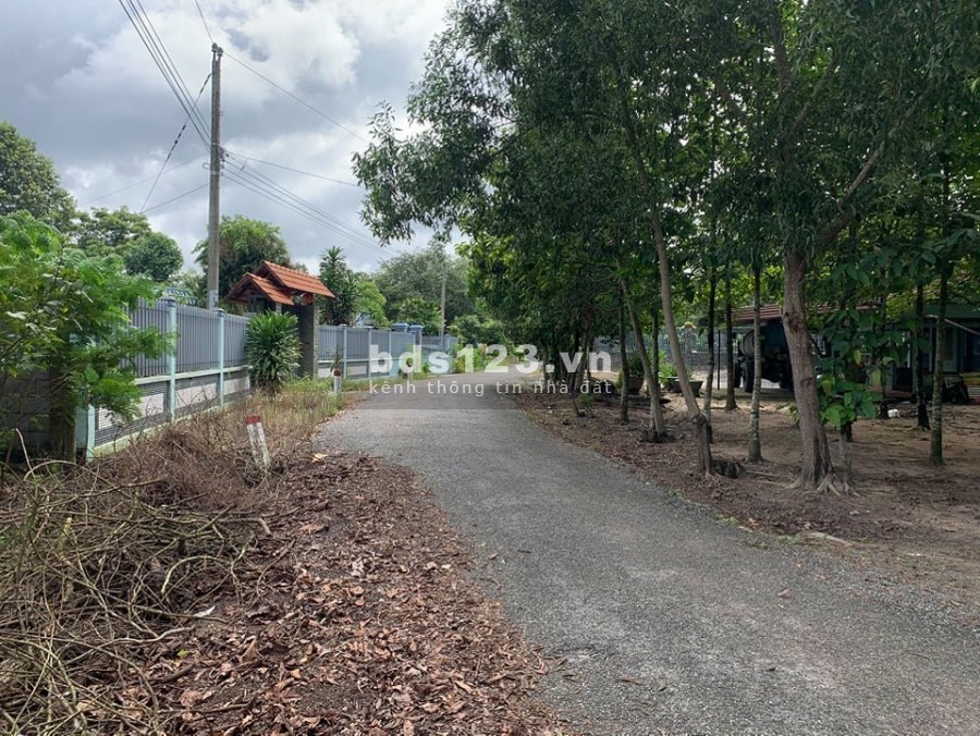 Đất Vườn đẹp diện tích 1000m2 ngang 40 dài 25 có 50m2 thổ cư