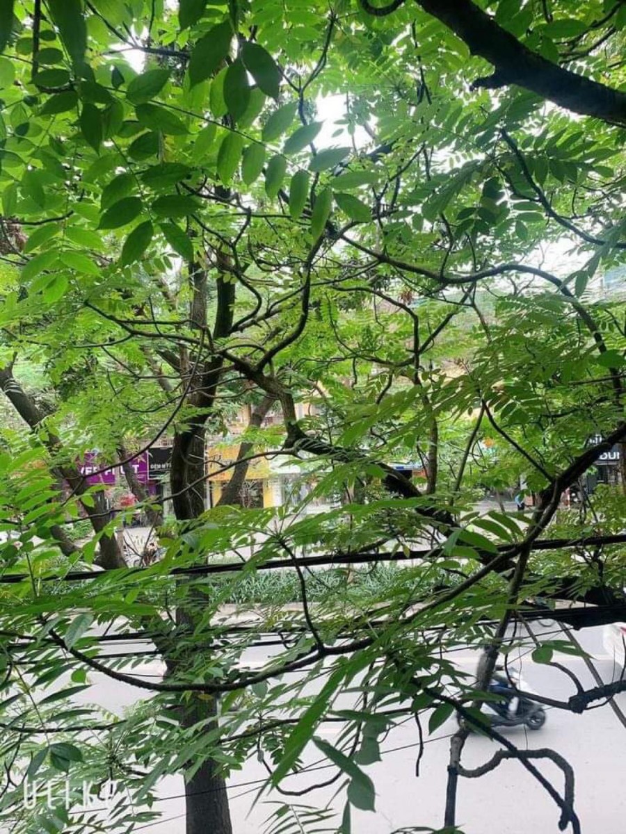 NHÀ MẶ PHỐ BẠCH MAI SIÊU ĐẸP MẶT TIỀN TO VỈA HÈ RỘNG