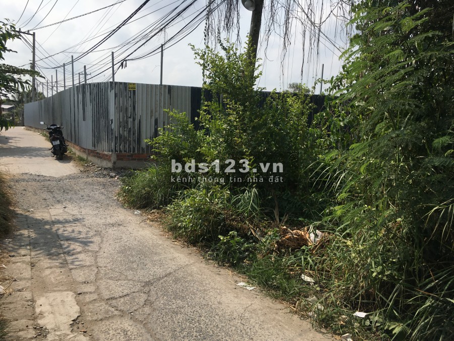 Bán lô đất 965m2 đường Tân Nhiễu xã An Phú Tây huyện Bình Chánh