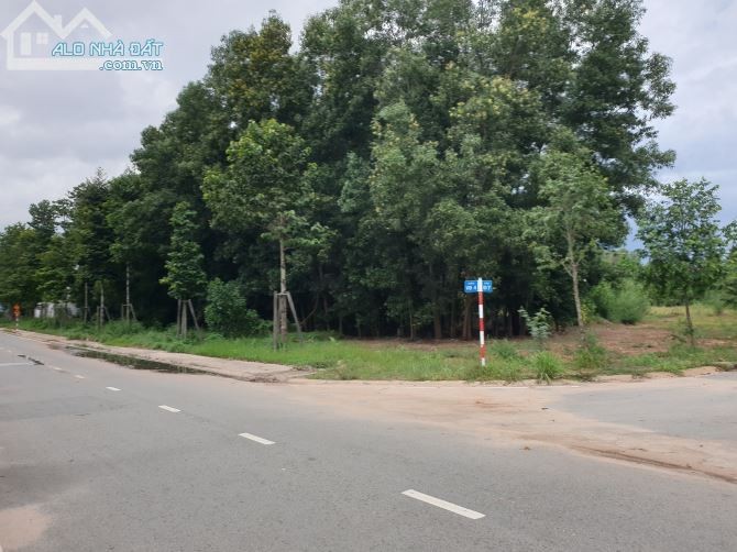 BÁN ĐẤT ĐƯỜNG NGAY CỔNG CHÍNH DU LỊC ĐẢO YẾN SƠN HẦ CÁCH TRƯỜNG HỌC CHỈ 100M