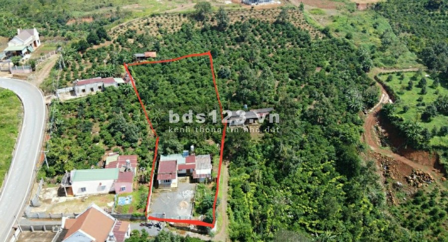 Bán nhanh trong tuần lô đất 1.000m2 cách TP bảo lộc 10 phút.giá bán 1.5 tỷ,thương lượng nhẹ.