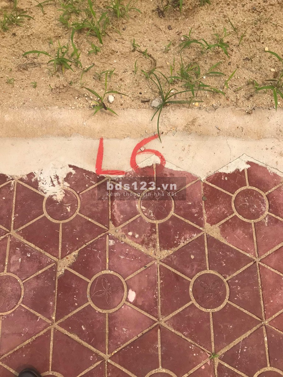 Bán đất đầu giá xã Nhật Tân, Gia Lộc, Hải Dương, 100m2, mt 5m, vỉa hè 5m giá cực mềm