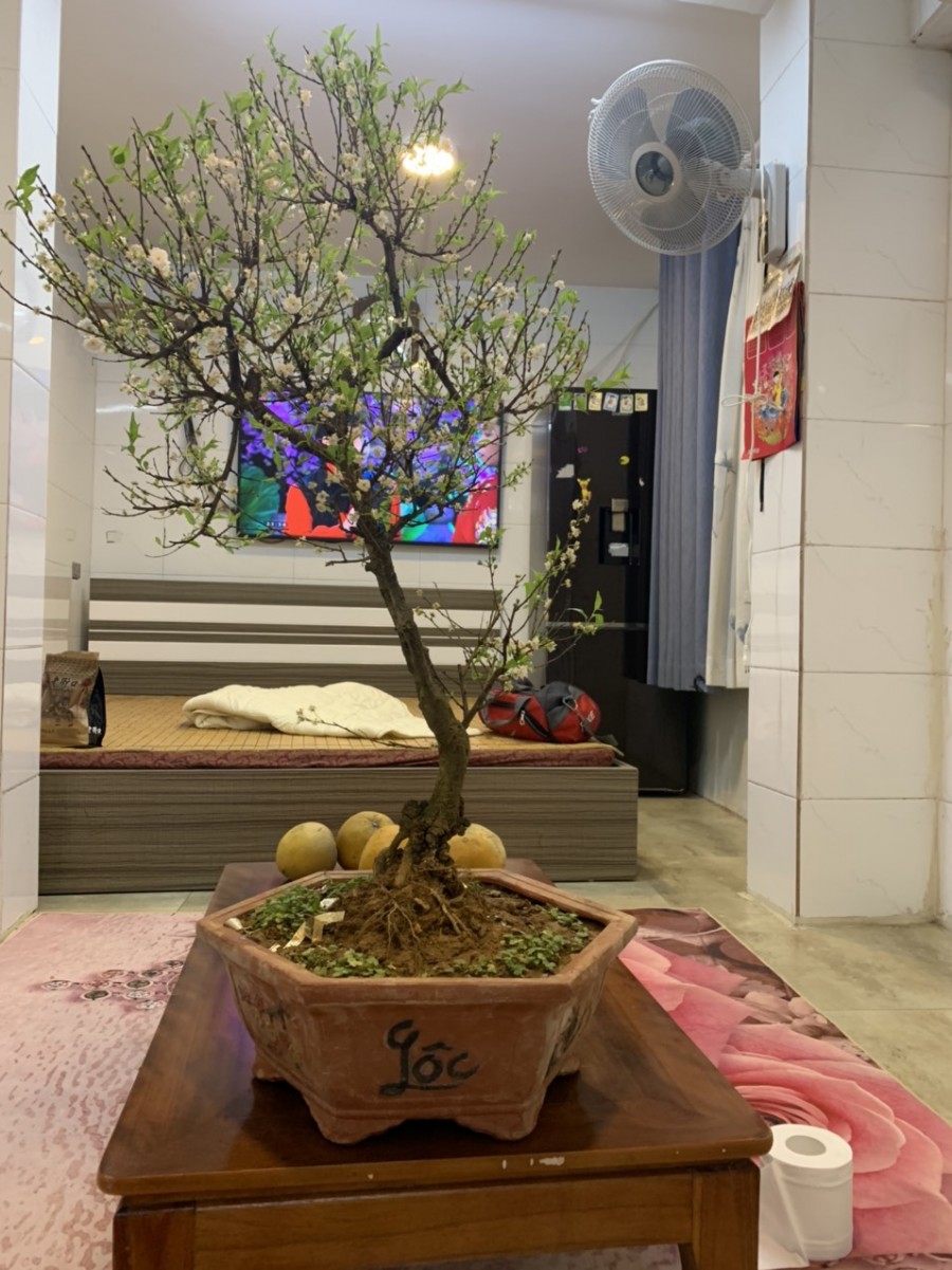 Chính chủ bán nhà 2 tầng 1 gác lửng tại Ngõ 15 đường Hồng Hà, Phúc Xá. Ba Đình, DT 30m2 Giá 980 triệu LH 0976131114