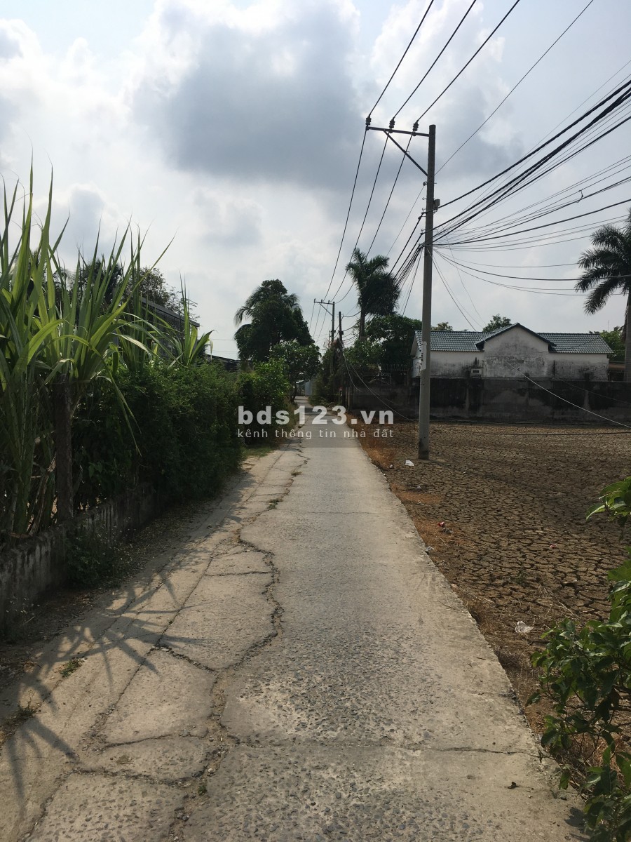Bán lô đất 965m2 đường Tân Nhiễu xã An Phú Tây huyện Bình Chánh