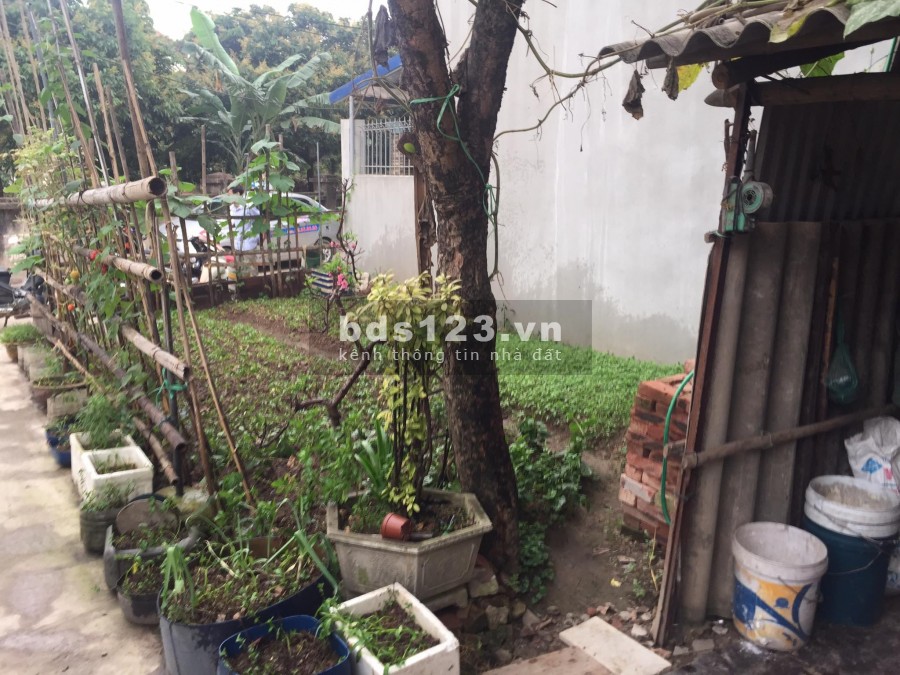 BÁN ĐẤT GẤP ;ĐỒNG MAI HÀ ĐÔNG . LH 0382249901