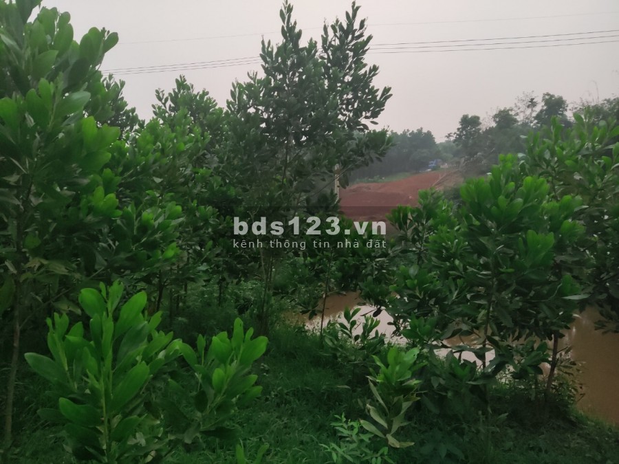 Đất nghỉ dưỡng, sinh thái view cao cảnh quan núi đẹp giá rẻ tại Yên Trung, Thạch Thất, Hà Nội