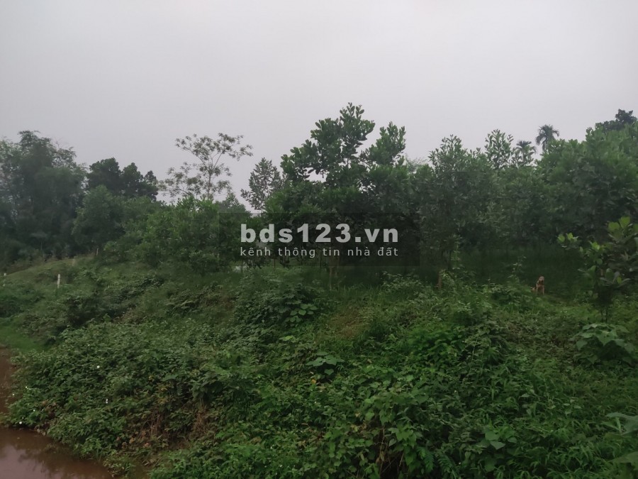 Đất nghỉ dưỡng, sinh thái view cao cảnh quan núi đẹp giá rẻ tại Yên Trung, Thạch Thất, Hà Nội