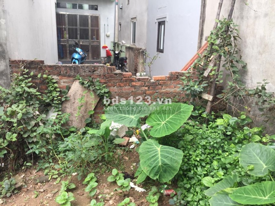 BÁN ĐẤT GẤP. GẦN CÂY XĂNG XỐM. LH 0382249901