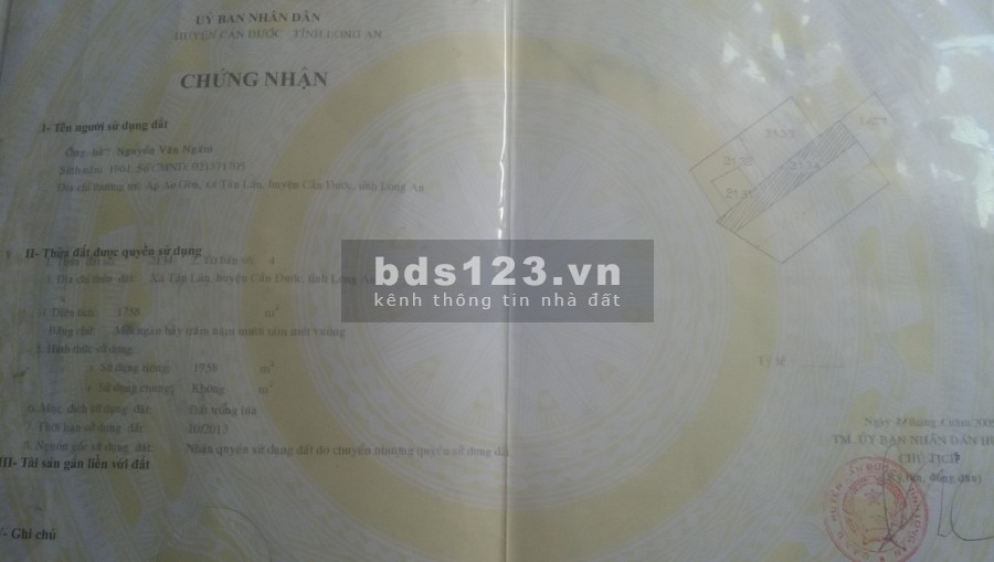 Đất lúa MT Đường 19/5 xã tân lân Cần Đước