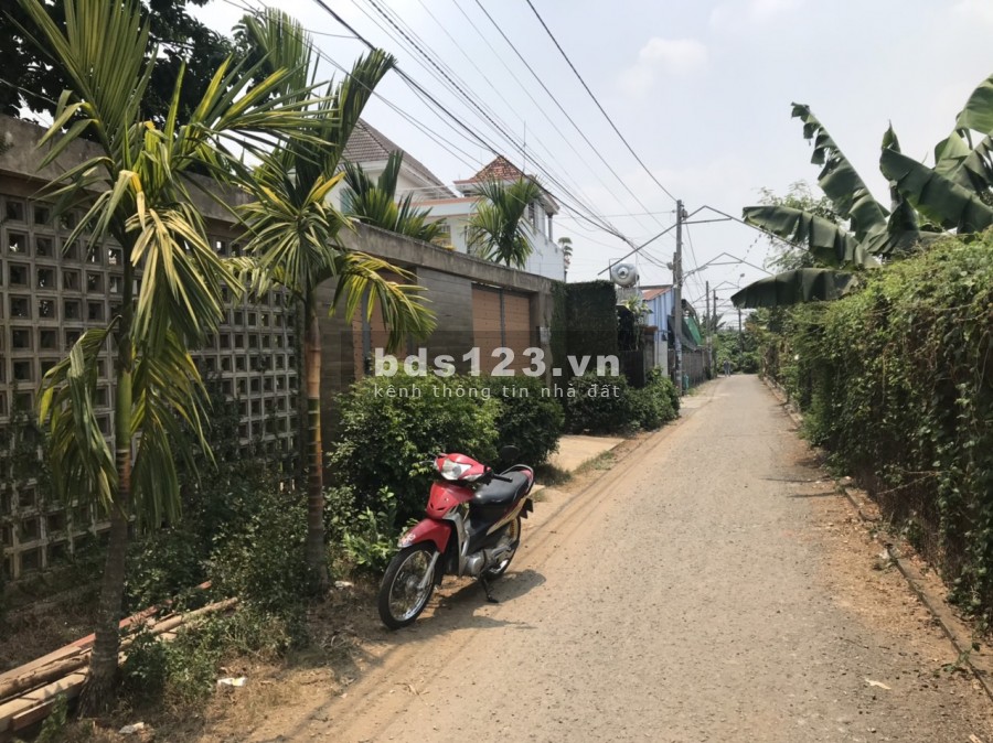 Bán lô đất 26x21 đường vào bưởi Tân Triều, xã Tân Bình huyện Vĩnh Cửu, tỉnh Đồng Nai