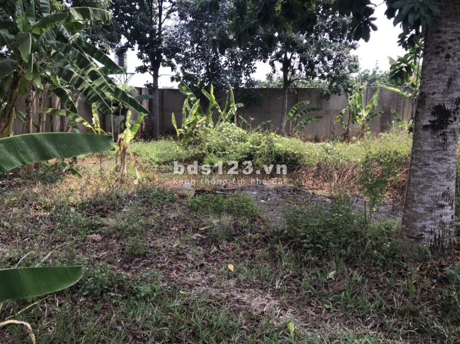 Bán lô đất 26x21 đường vào bưởi Tân Triều, xã Tân Bình huyện Vĩnh Cửu, tỉnh Đồng Nai