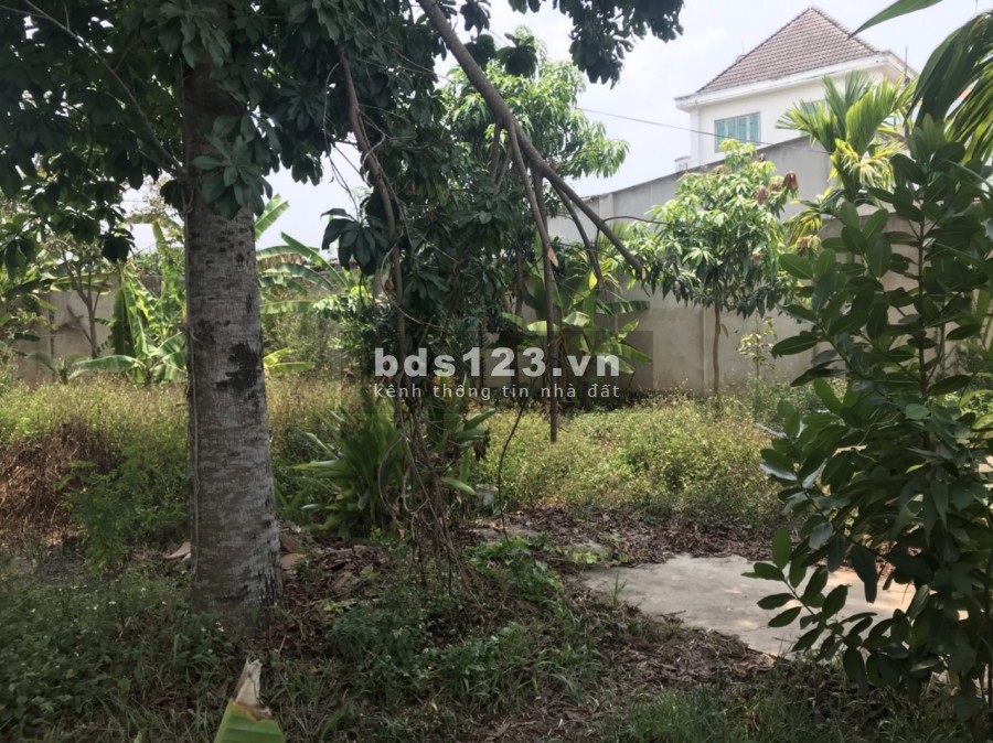 Bán lô đất 26x21 đường vào bưởi Tân Triều, xã Tân Bình huyện Vĩnh Cửu, tỉnh Đồng Nai