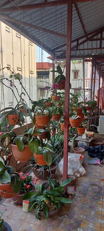 BÁN NHÀ PHỐ HÀO NAM dt 55m, 4 tầng, mặt tiền 6m, giá 7.6 tỷ