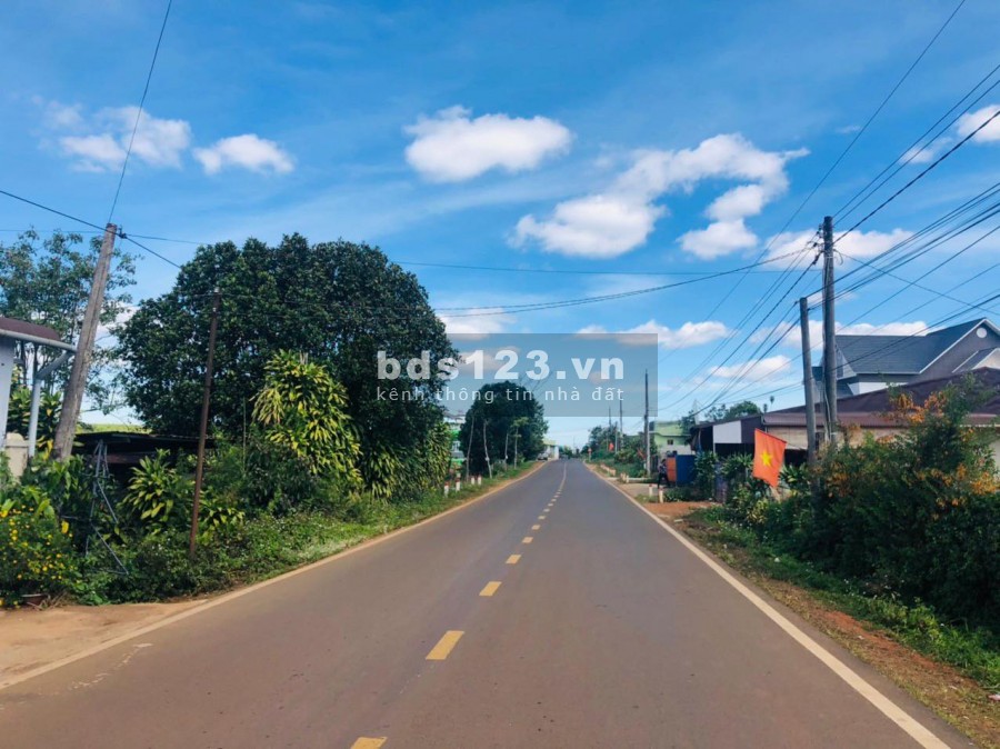 Cần Bán mảnh Đất Cạnh bên Chợ Cạnh Đường Lý Thường Kiệt Tp Bảo Lộc 0379 893 779