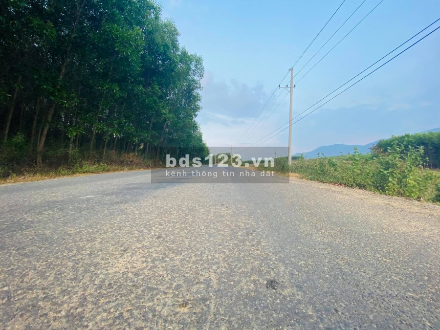 Bán đất xã Diên Tân, Diên Khánh rộng 6.300m2 giá rẻ LH 0788.558.552