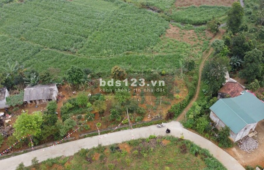 BÁN ĐẤT VÂN HÒA BA VÌ VIEW CÁNH ĐỒNG CAO THOÁNG 607M CÓ 20M MẶT TIỀN