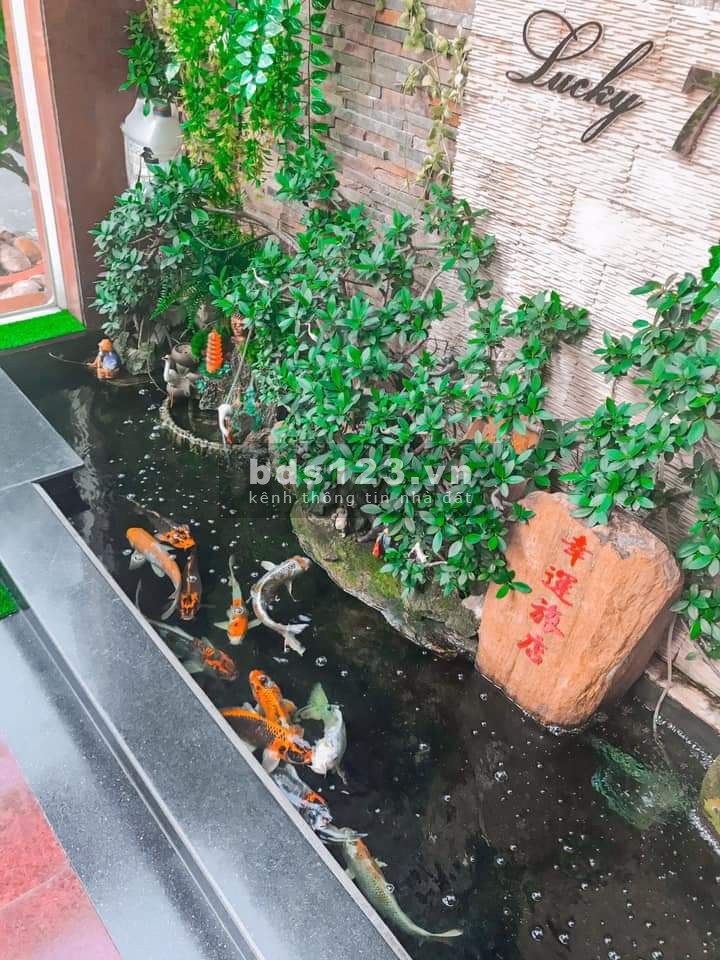 Bán Khách Sạn Khu Tên Lửa Bình Tân Ngang 10m View Công Viên Diện Tích 220m2