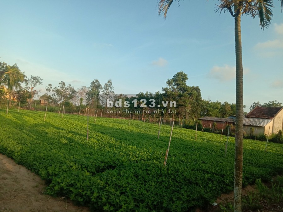 Đất Tịnh Ấn Tây thành phố Quảng Ngãi