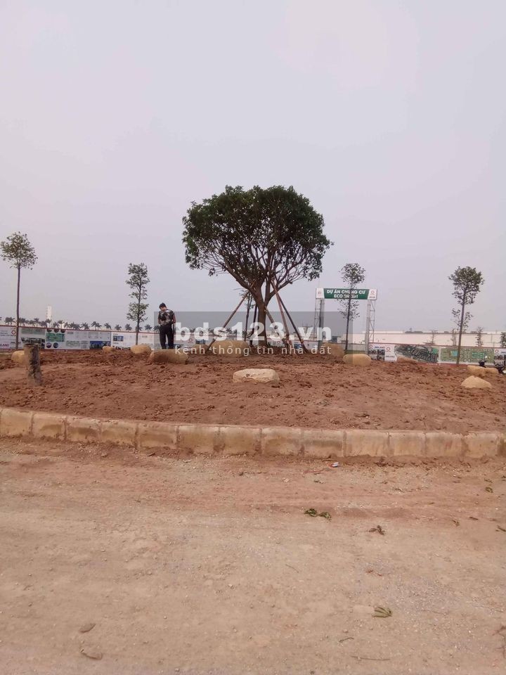 NEWCITY PHỐ NỐI - NƠI ĐÔ THỊ PHÔNG VINH