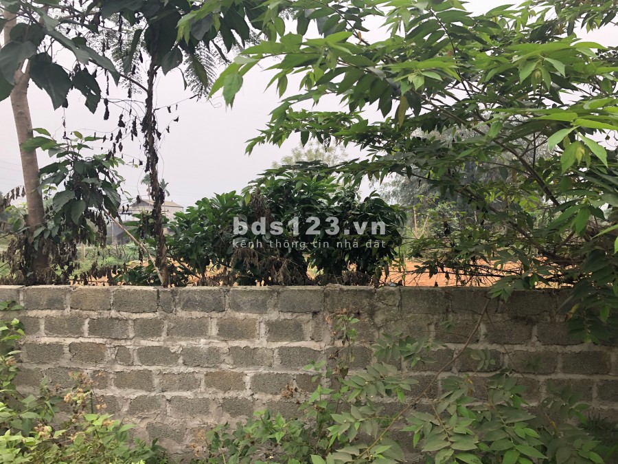 Bán Gấp Đất Thôn Hạnh Phúc Hòa Sơn Lương Sơn giá rẻ nhất Khu vực