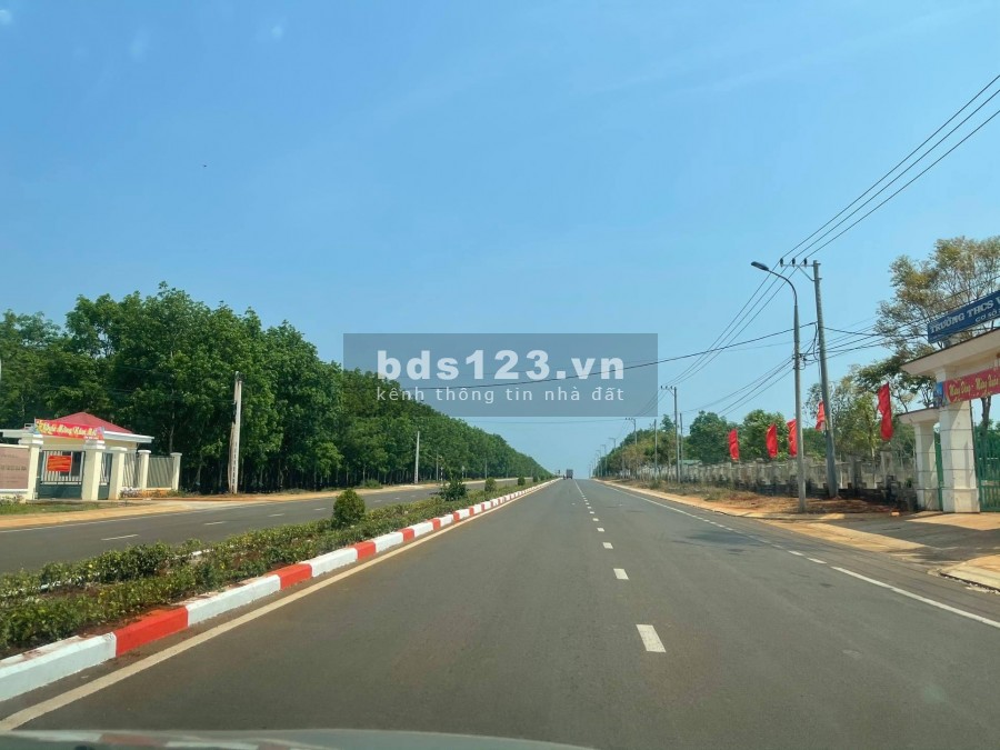 6 lí do nên đầu tư TNR Stars Dak Doa - Cơ hội cho nhà đầu tư tài ba