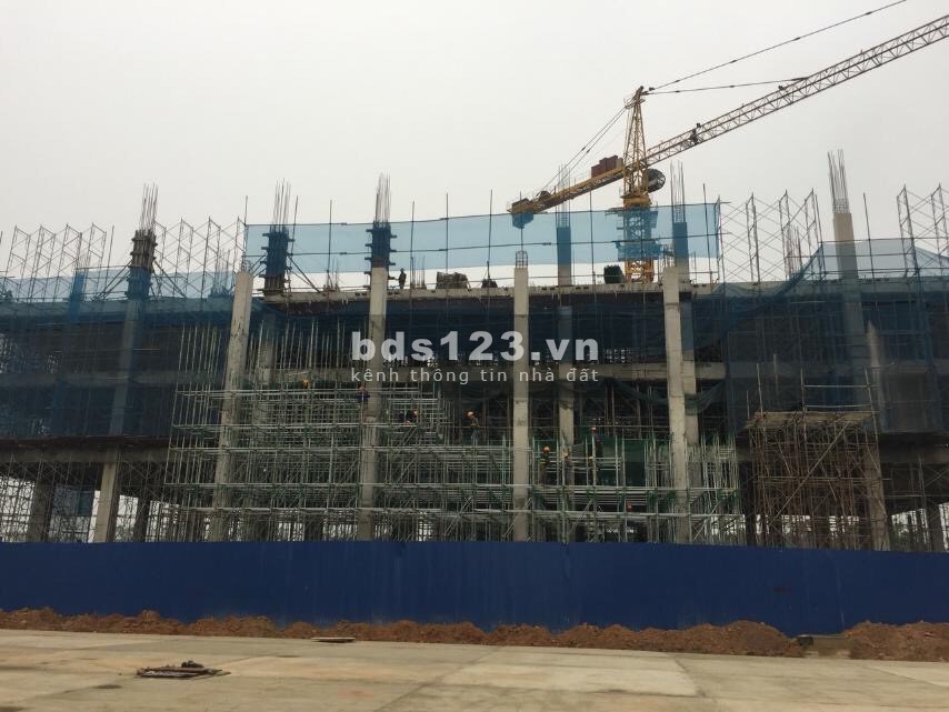 DANKO CITY MANG GIÁ TRỊ SỐNG KIÊU HÃNH