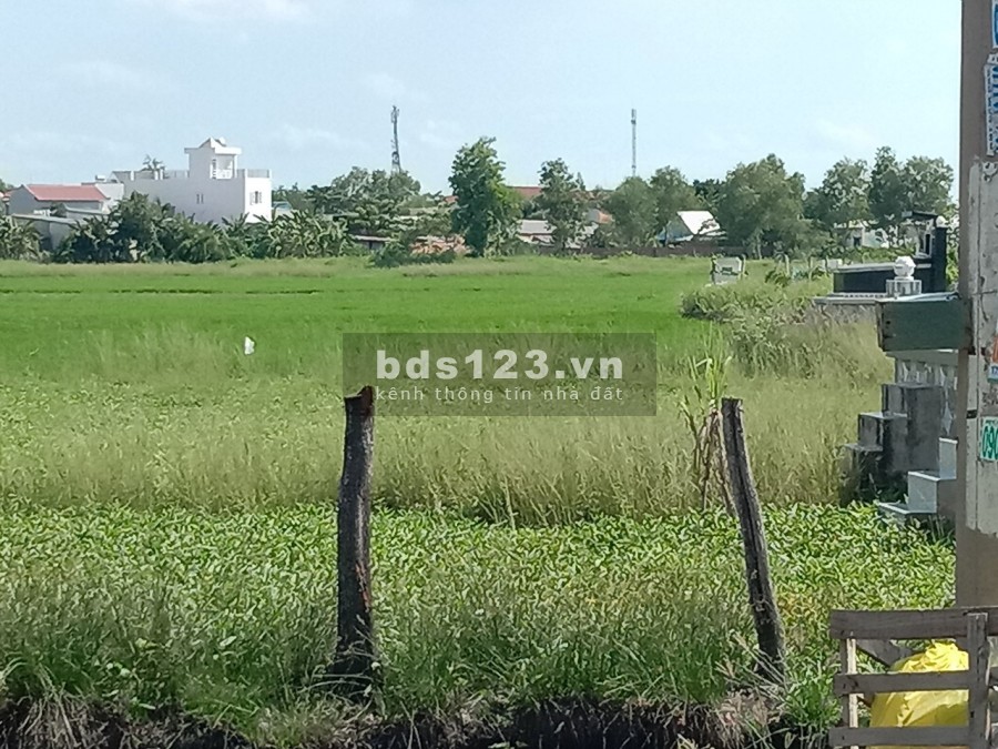 Bán đất Bình Chánh 25000ms tương đương 25 công - Giá 7 Tỷ / 1 công, chấp nhận cho mô giới chào khách